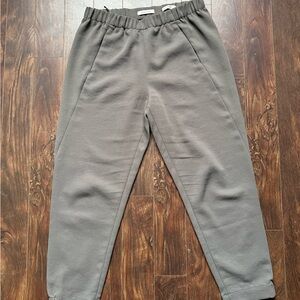Aritzia Babaton Dexter Pant